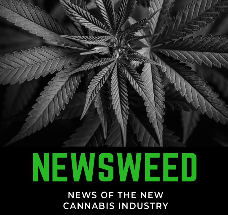 News of the New Cannabis Industry