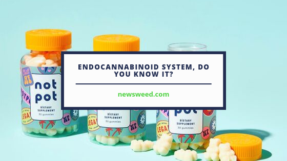 Endocannabinoid system, do you know it?